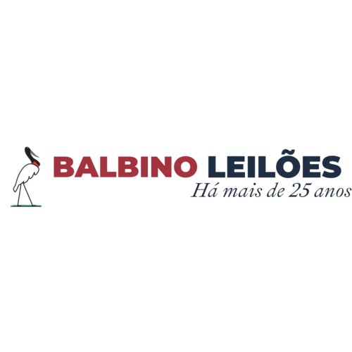 Balbino Leilões, Cliente Mclair